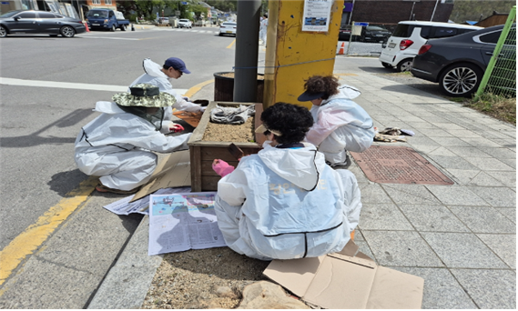 황연봉사단·황연동 행정복지센터,
가로화단 정비로 마을 가꾸기 실시 이미지 1