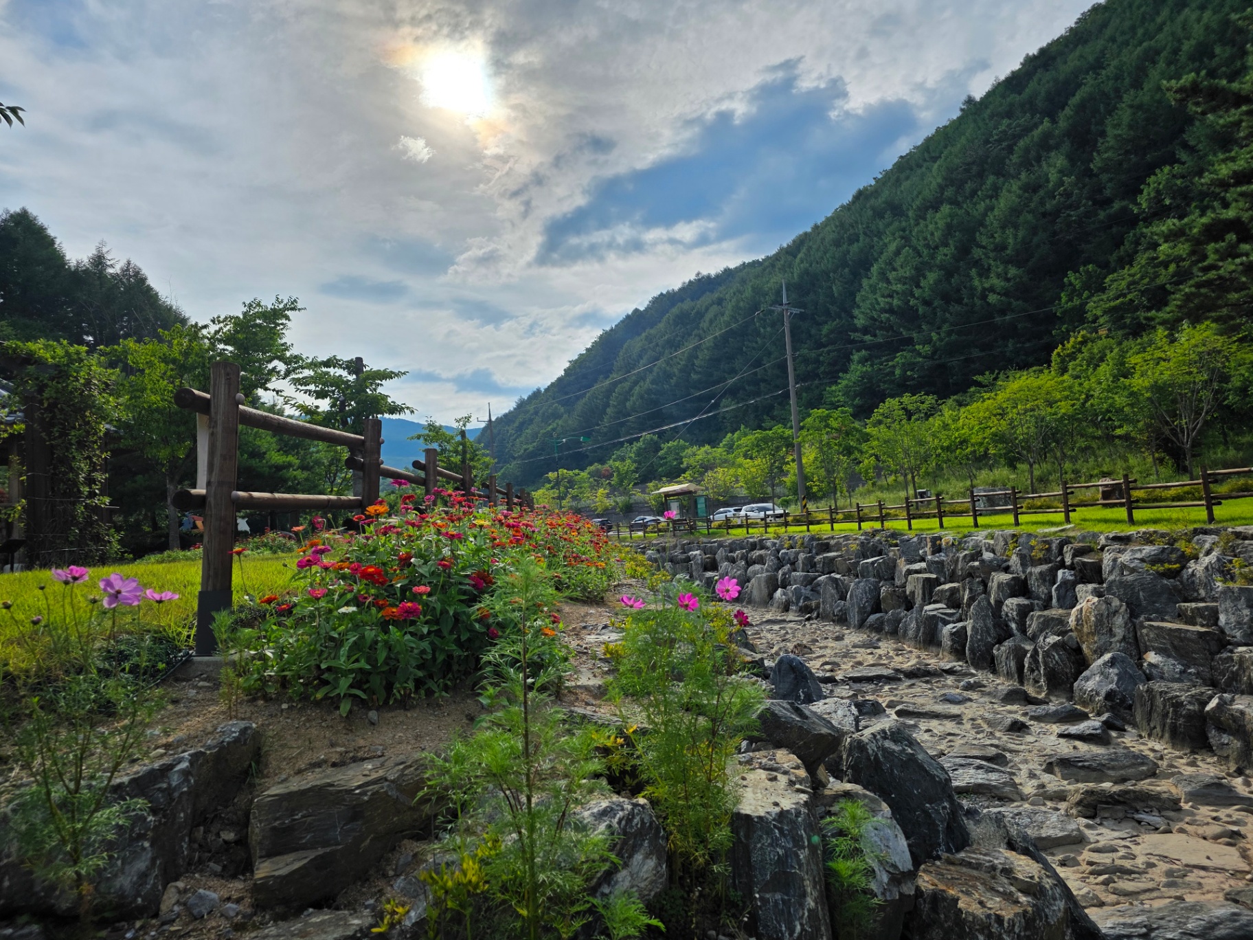 태백시 삼수동, 숨은 명소‘백일홍 꽃밭’만개 이미지 1