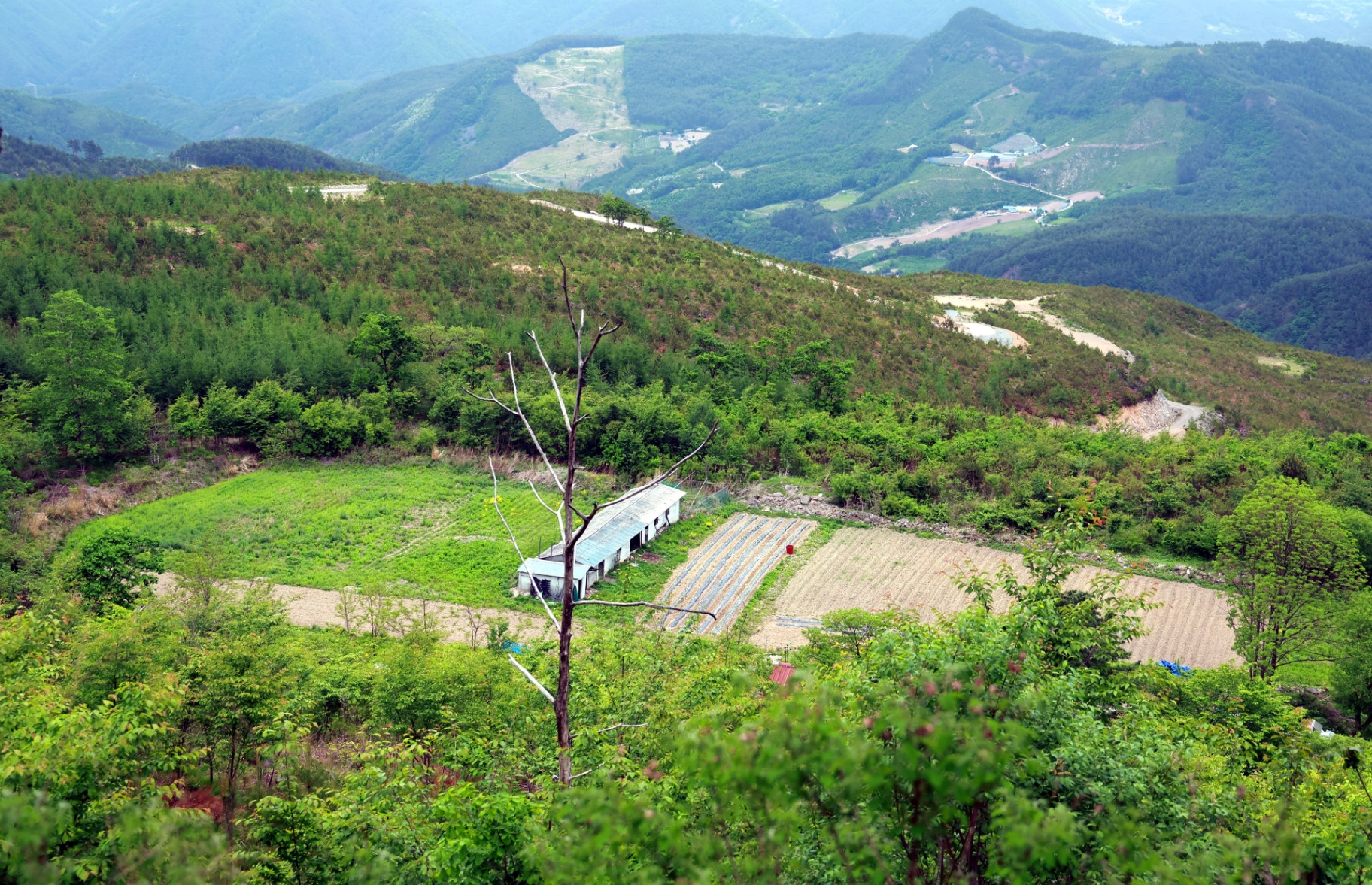 태백시, 스마트 농업·축산업 선도한다. 태백시, 스마트 농업·축산업 선도한다. 이미지 2