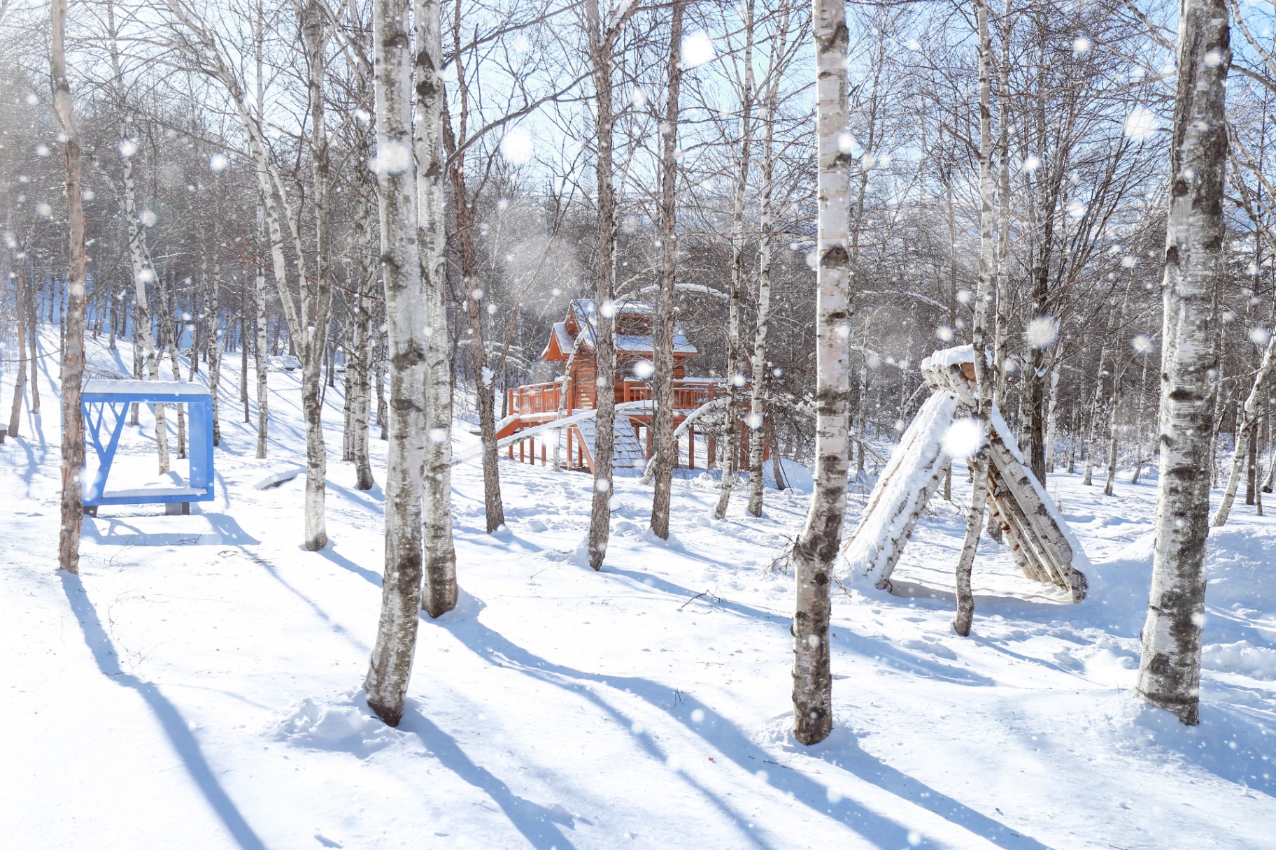 태백시, 인플루언서와 손잡고 
겨울 콘텐츠 홍보 추진
