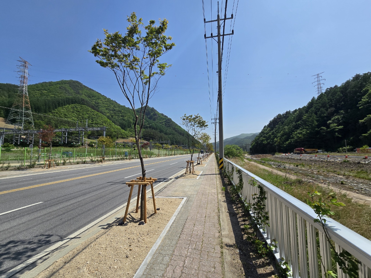 태백시, 동백산역 일대에 단풍나무 78그루 식재 이미지 1