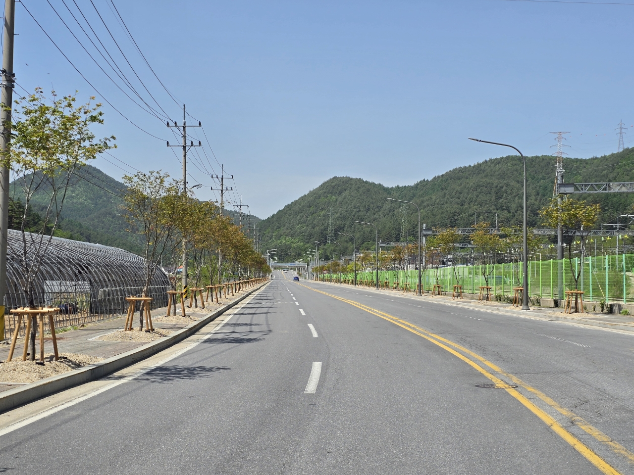 태백시, 동백산역 일대에 단풍나무 78그루 식재 이미지 2