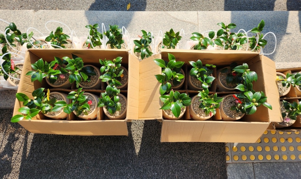 황연동 ‘내 방의 작은 정원’,
반려식물 키우기 사업 4차 전개 이미지 1