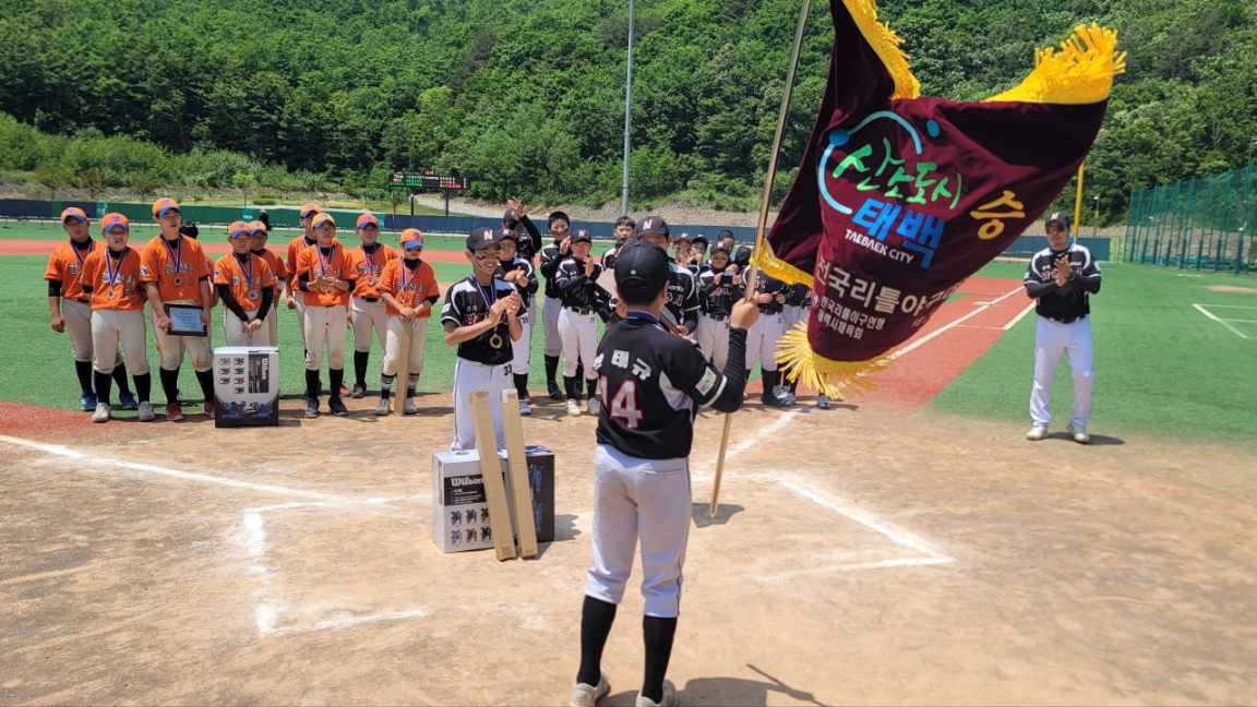 태백시, ‘제5회 태백산배 전국 리틀야구대회’ 개최 이미지 2