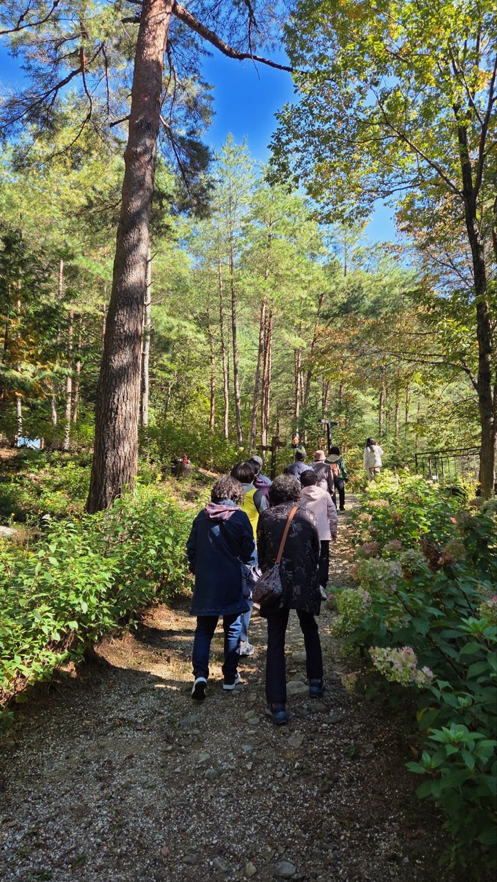 태백시, 치매환자·보호자 야외치유 프로그램 운영 이미지 1