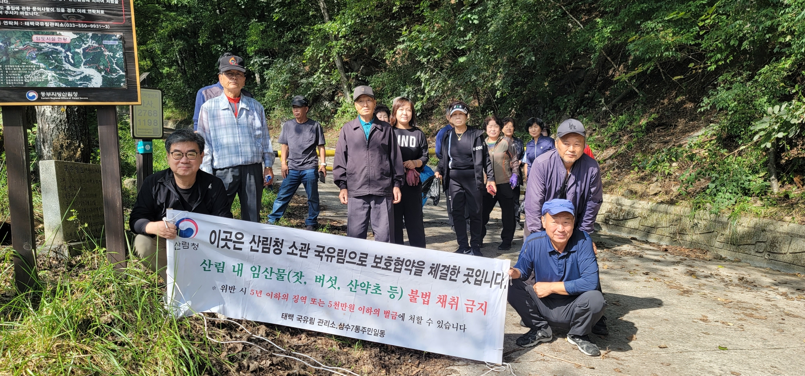 삼수동 7통 주민, 태백국유림관리소와
임산물 불법채취 금지 캠페인 실시 이미지 1
