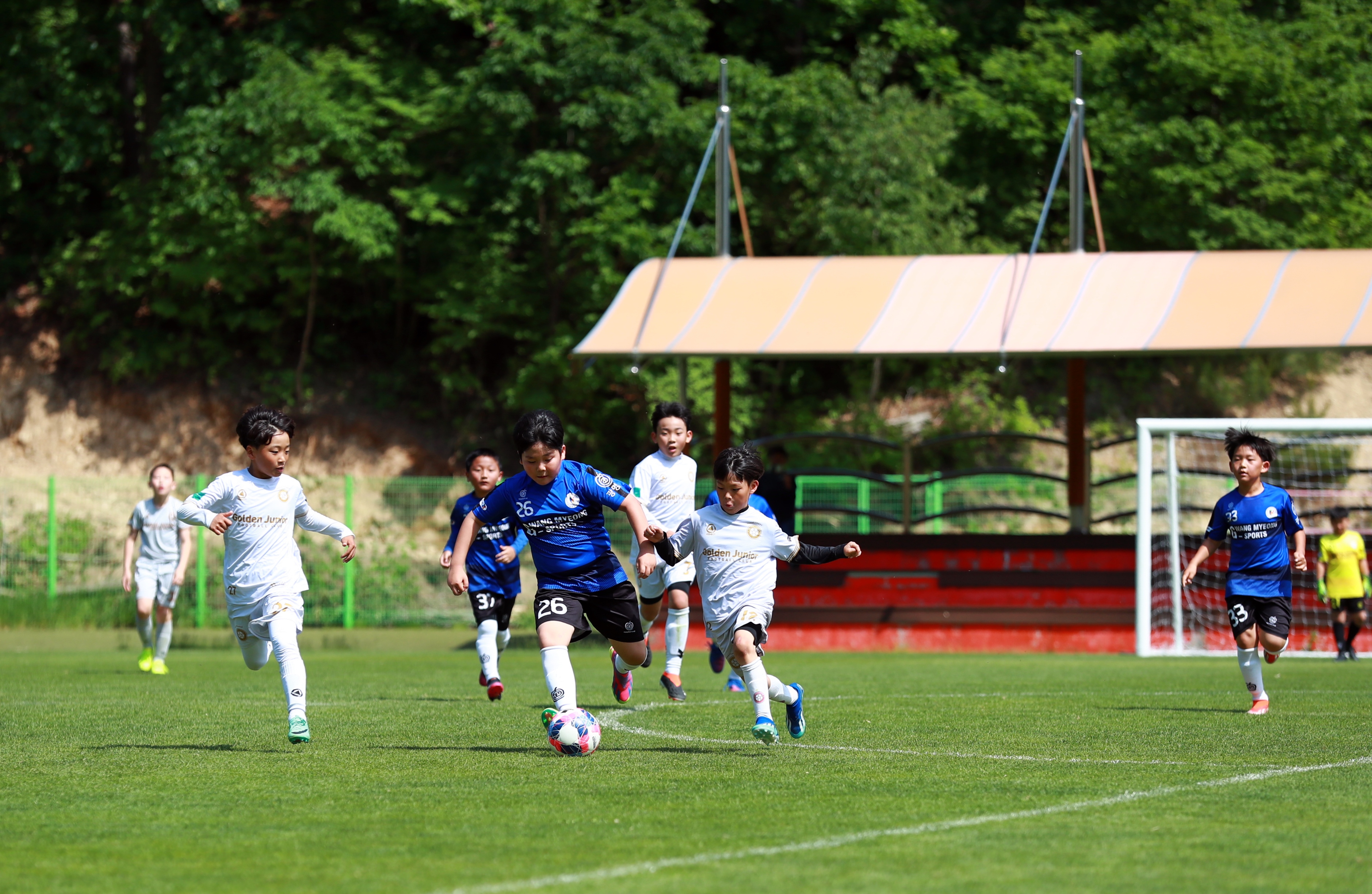 태백시, 주말사이 전국단위 스포츠대회 개최 이미지 1