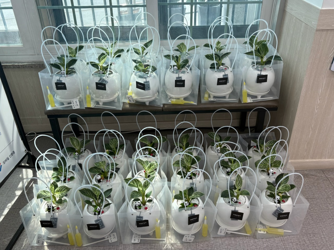 황연동 행정복지센터, 반려식물 키우기 사업(2차) 추진 이미지 1