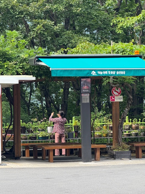 태백시, 용연동굴에 태백시 제1호 스마트 그늘막 설치 이미지 1