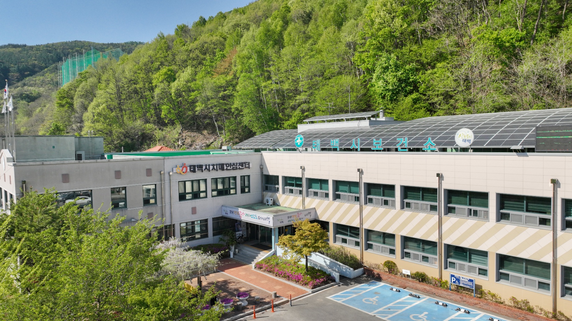 태백시, 고위험군 코로나19 예방접종 6월 말까지 연장 이미지 2