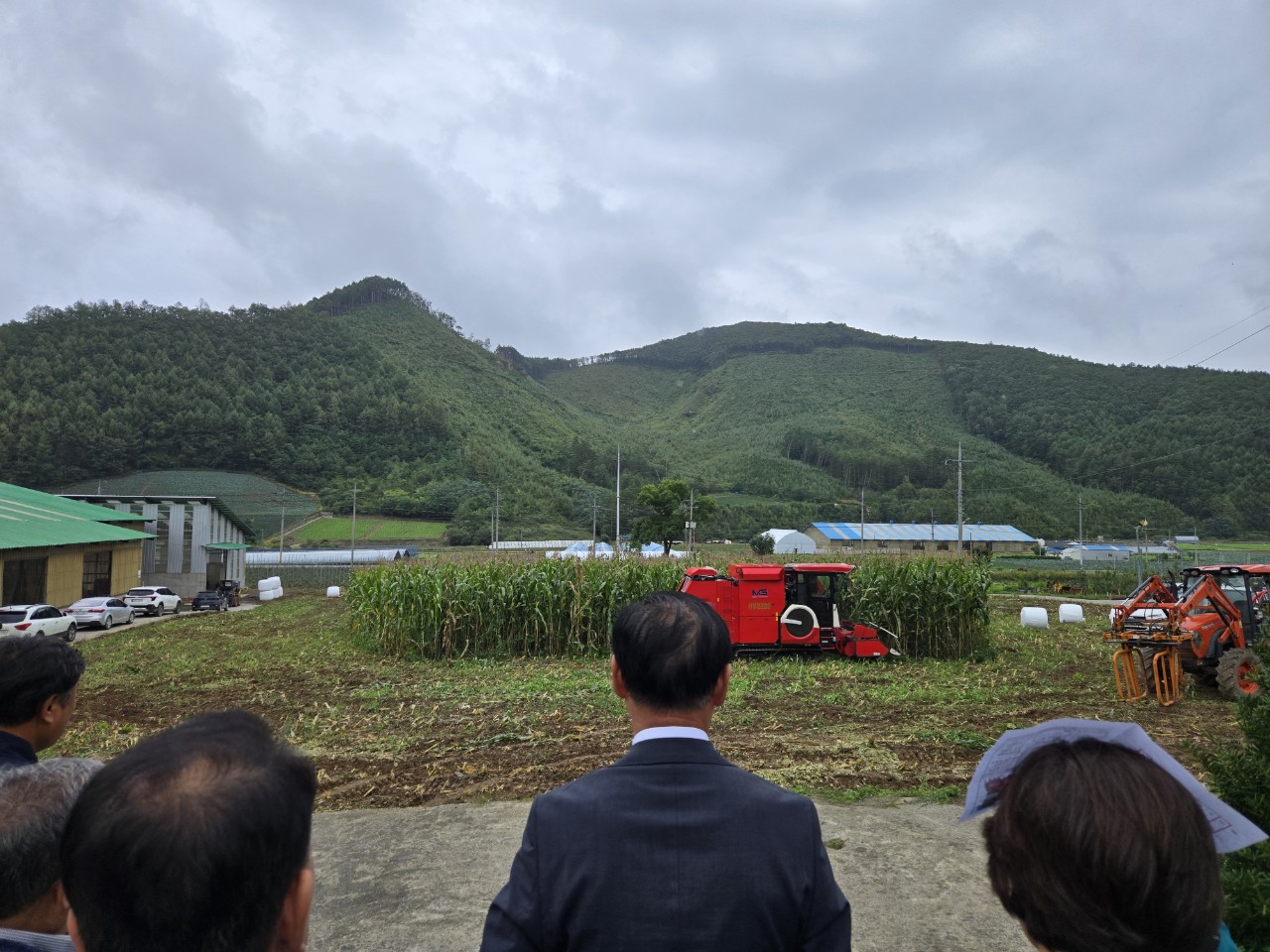 태백시립도서관, ‘필사 챌린지’ 운영 이미지 1