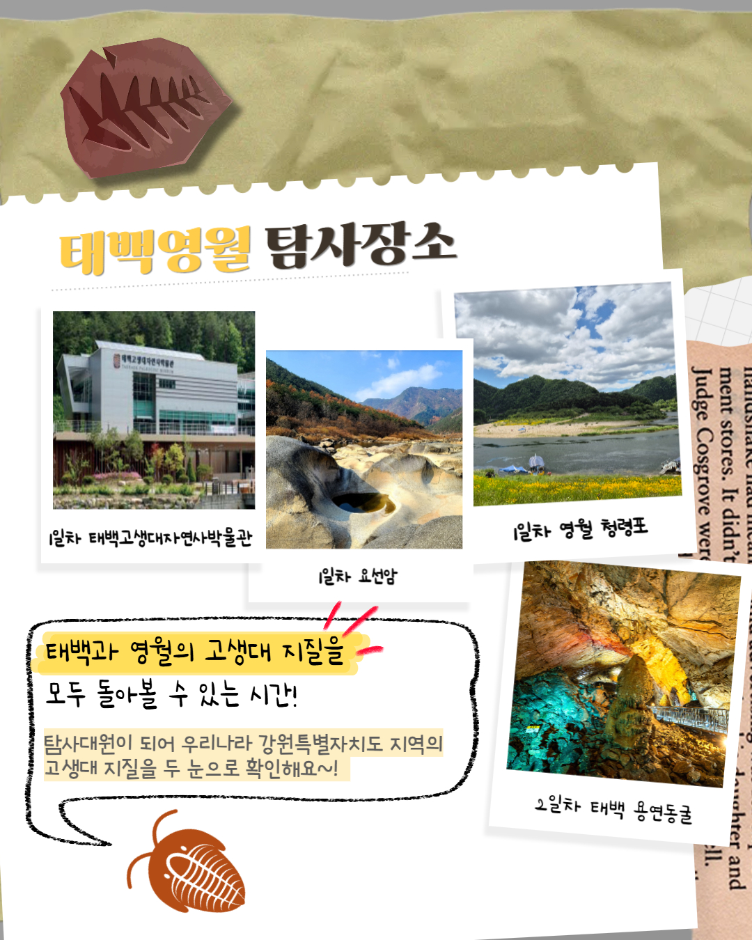 태백 고생대자연사박물관, 1박 2일 답사형 
지질탐사 프로그램 ‘강원고생대 지오(GEO)탐사대’ 운영 이미지 1